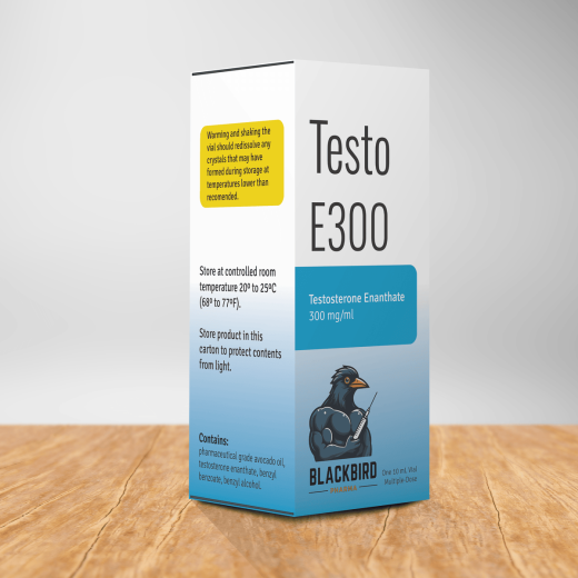 testo-e-300